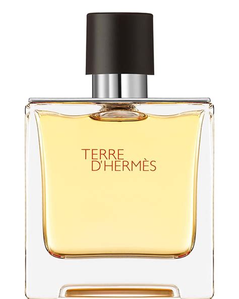 hermes terre d hermes ici paris xl